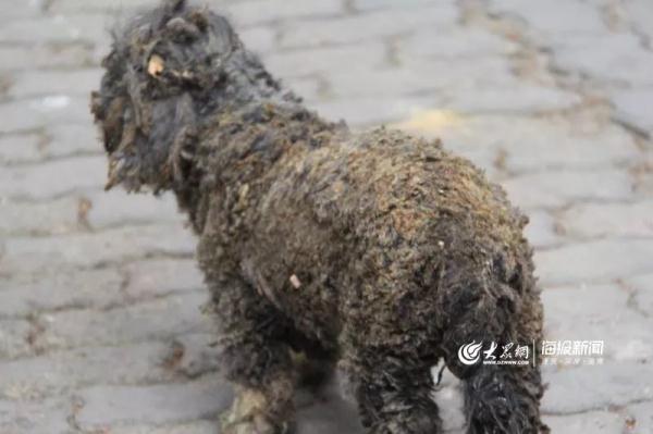 突發(fā)！青島一居民樓發(fā)生爆燃！已造1人死亡，7人受傷！3公里外有震感…