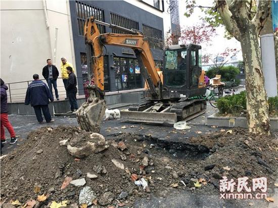 圖片說明：挖掘機現(xiàn)場作業(yè) 圖片均為新民晚報新民網陳浩攝