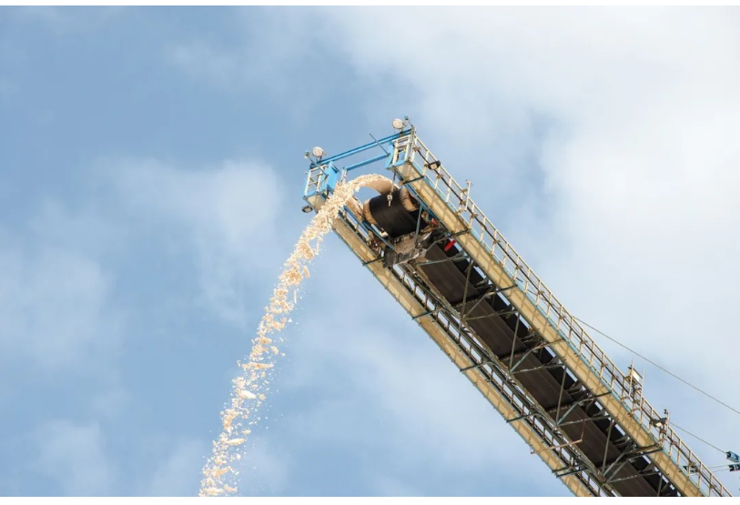 1607326529800348.png 圖片.png